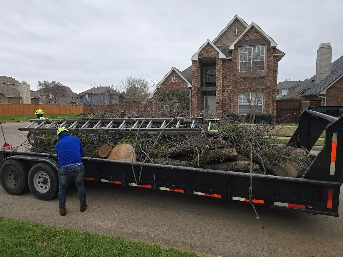 Expert Tree Fertilization with proper safety equipment in Lawton